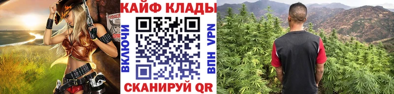 Сколько стоит Инза Alpha-PVP Галлюциногенные грибы Меф мяу мяу ГАШИШ МАРИХУАНА