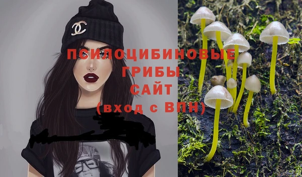ешки Абаза
