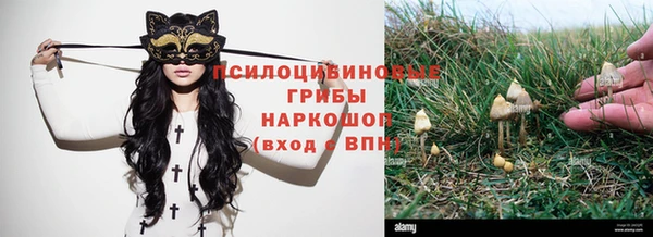 шишки Абдулино